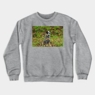 Kla pup a Crewneck Sweatshirt